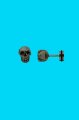 n�u�nice Skull