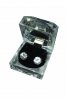 n�u�nice Crystal