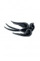 Swallow n�ivka