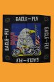 Eagle Fly ��tek