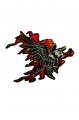 Eagle n�ivka