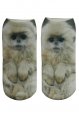 Monkey pono�ky