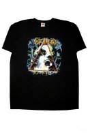 Def Leppard triko pnsk