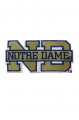Notre Dame n�ivka