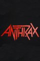 Anthrax dmsk triko