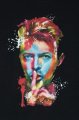 David Bowie triko dmsk