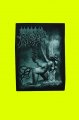 Morbid Angel nivka