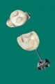 Skull White n�u�nice