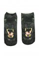 Pono�ky Puma
