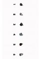n�u�nice Skull Rock
