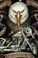 Harley Davidson Live To Ride triko pnsk
