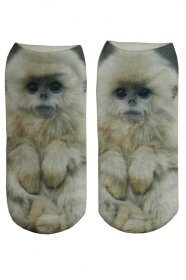Monkey ponoky