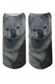 Koala pono�ky