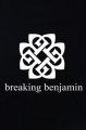 Breaking Benjamin triko dmsk