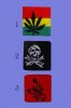 Pot�tko mix