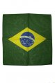 Brazil ��tek