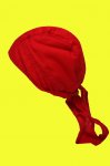 Red Bandana ��tek