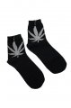 Funky Fish Cannabis pono�ky