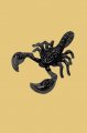 Scorpion p��v�sek