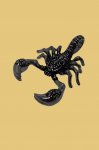 Scorpion p��v�sek