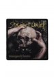 Six Feet Under n�ivka