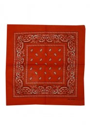 tek Ornament Orange