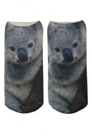 Koala ponoky