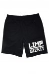 Limp Bizkit kra�asy