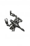 Scorpion p��v�ek