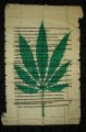 Ganja History vlajka