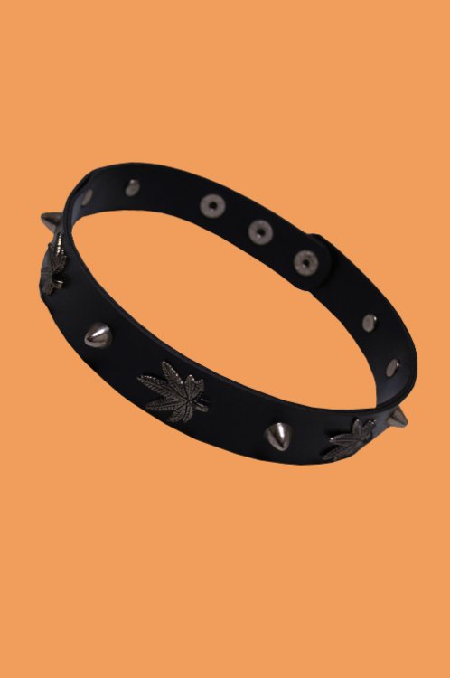 Marijuana obojek - Kliknutm na obrzek zavete