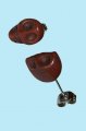 Skull Brown n�u�nice