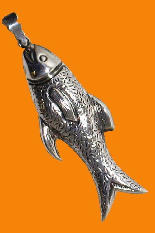 Ryba pvek - Kliknutm na obrzek zavete