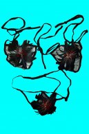 podprsenka + tanga Black erotick prdlo