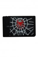 Spider pen�enka