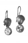 Seashell n�u�nice