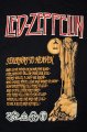 Led Zeppelin triko
