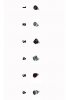 n�u�nice Skull Rock