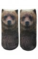 Bear pono�ky